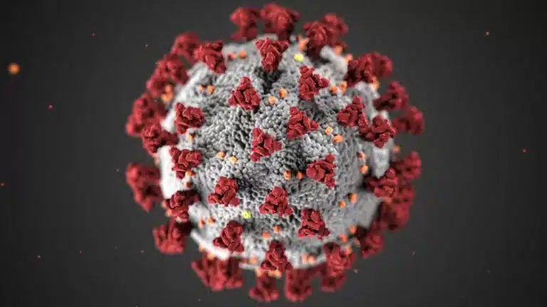 Quelle est la différence entre les virus et les bactéries ?