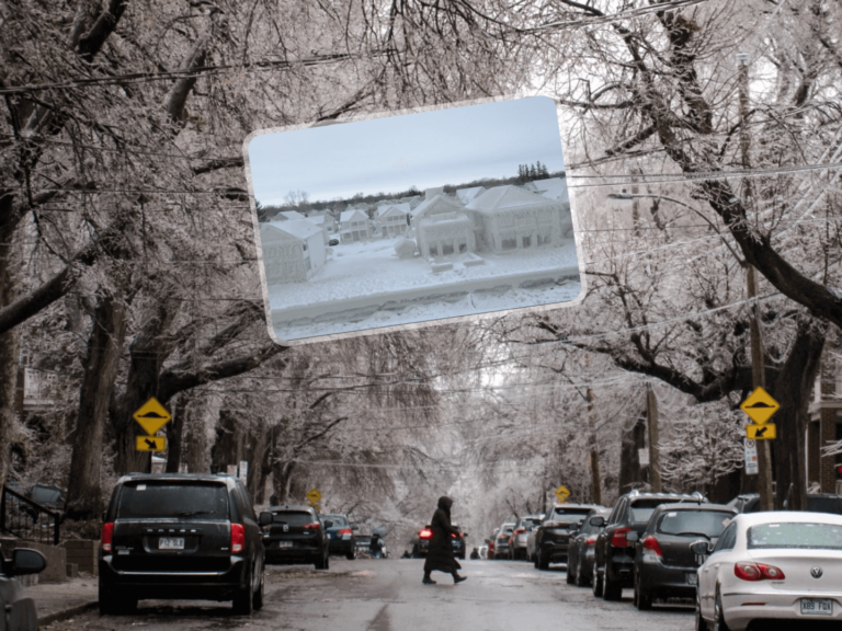 Tempête de glace au Canada : l’est du pays dans le noir total avec des centaines de milliers de foyers sans électricité